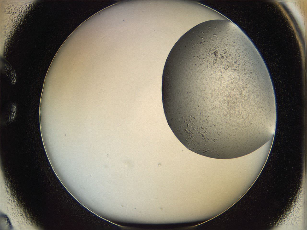 06dm_C2_ImagerDefaults_3.jpg