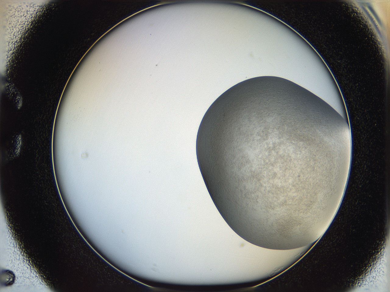 06dm_C5_ImagerDefaults_3.jpg