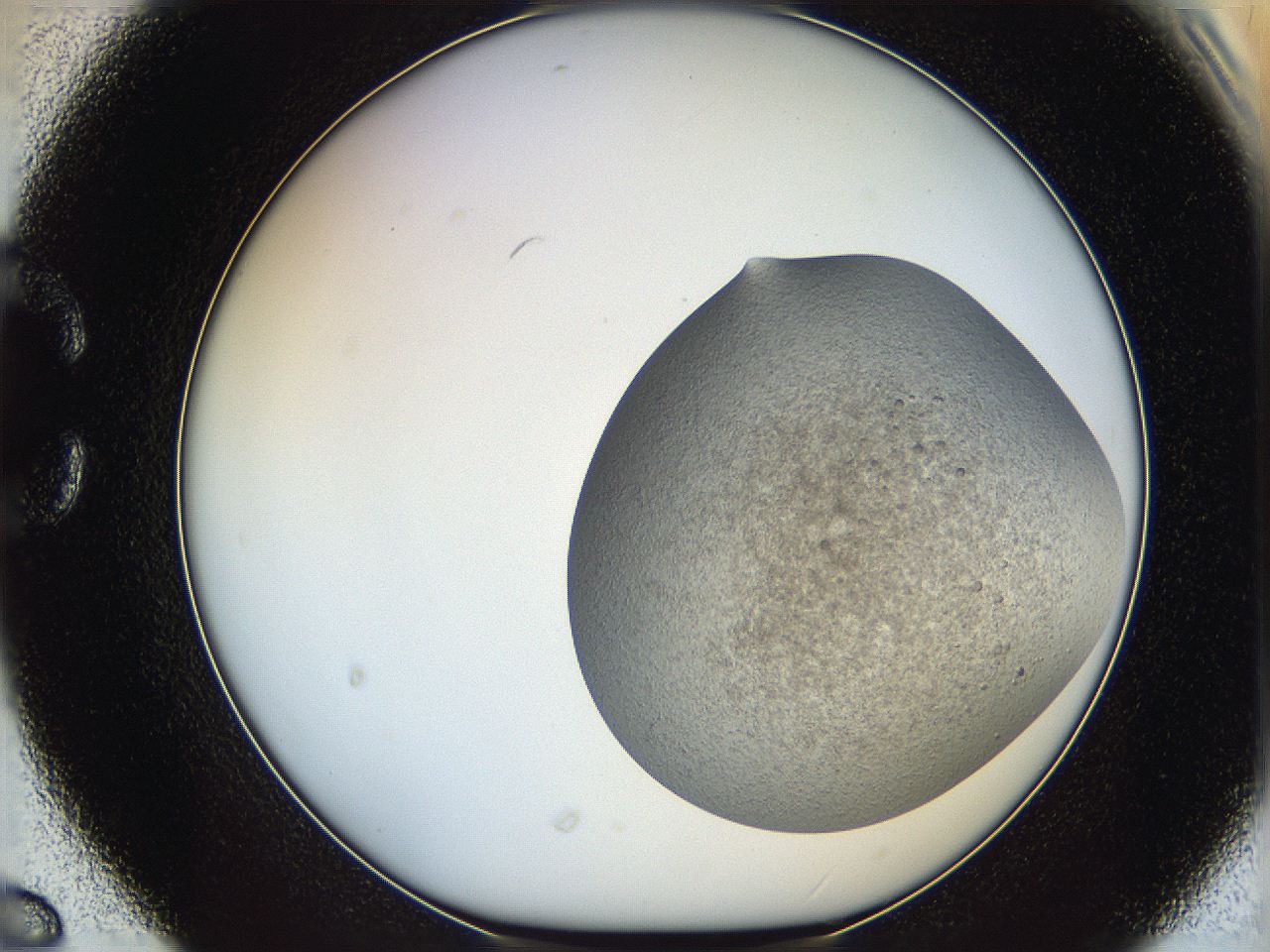 06dm_C6_ImagerDefaults_3.jpg