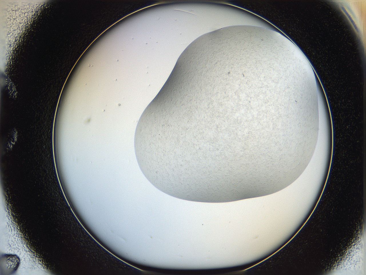 06dm_C7_ImagerDefaults_5.jpg