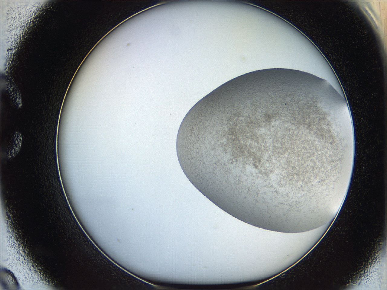 06dm_C9_ImagerDefaults_3.jpg