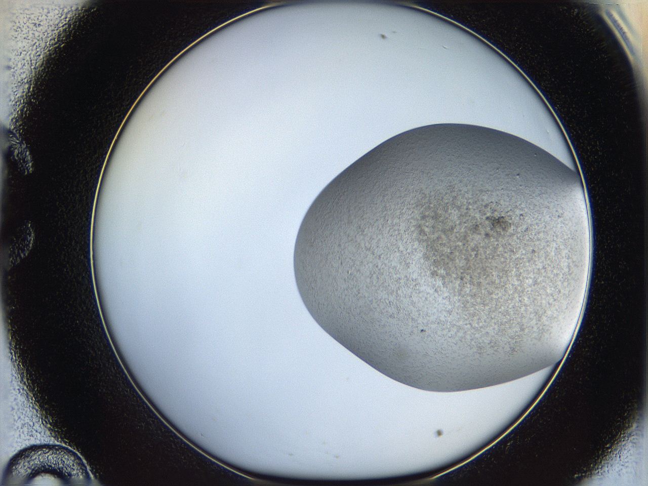 06dm_C10_ImagerDefaults_3.jpg