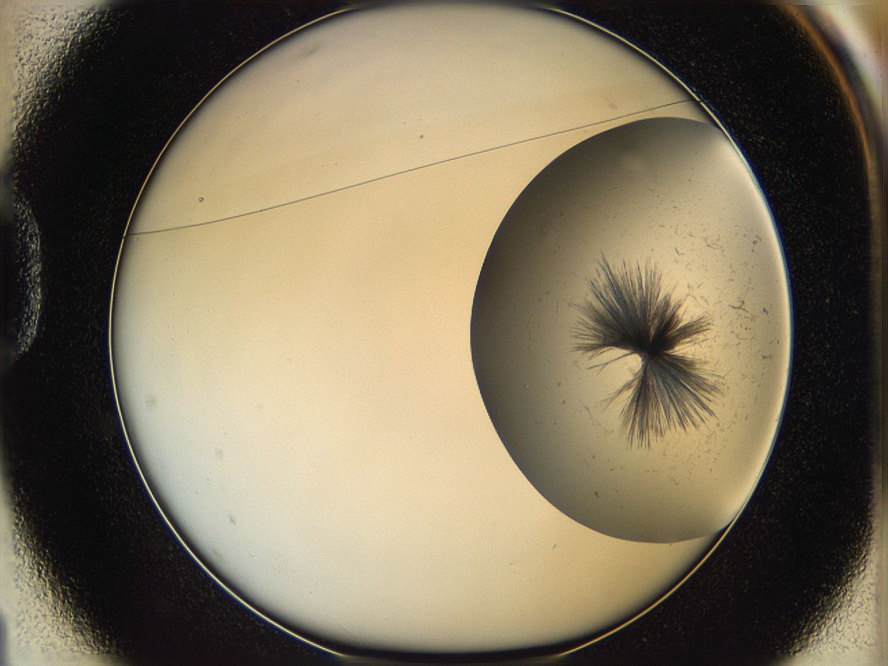 06dm_D1_ImagerDefaults_6.jpg