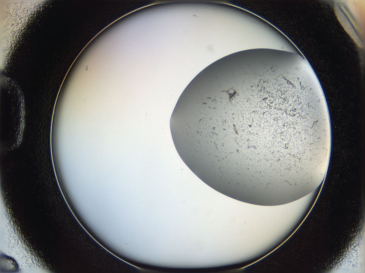 06dm_D6_ImagerDefaults_2.jpg