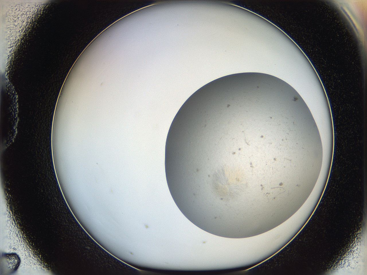 06dm_D7_ImagerDefaults_5.jpg