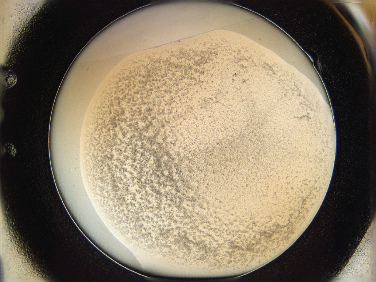 06dm_E1_ImagerDefaults_3.jpg