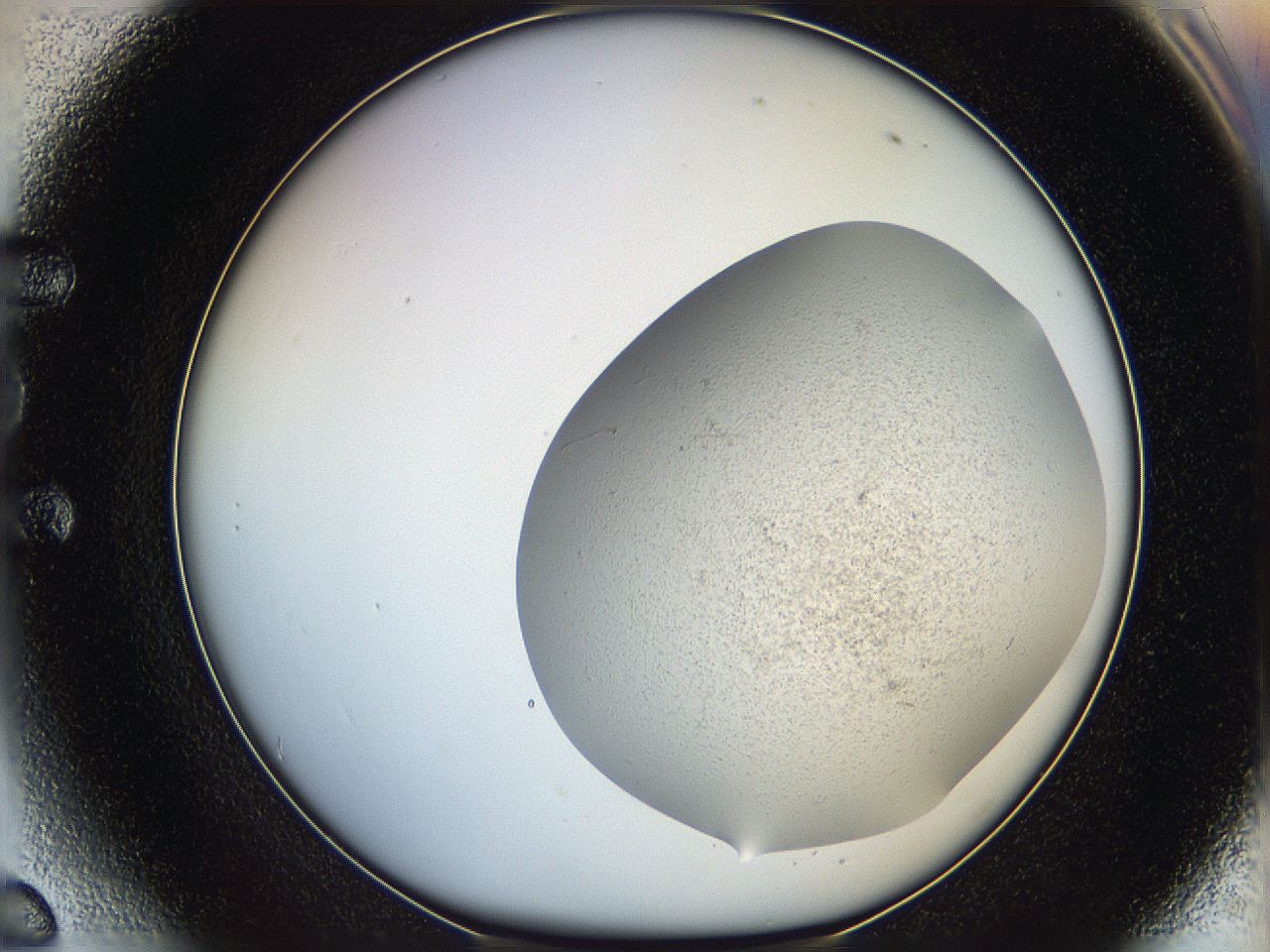 06dm_E6_ImagerDefaults_2.jpg