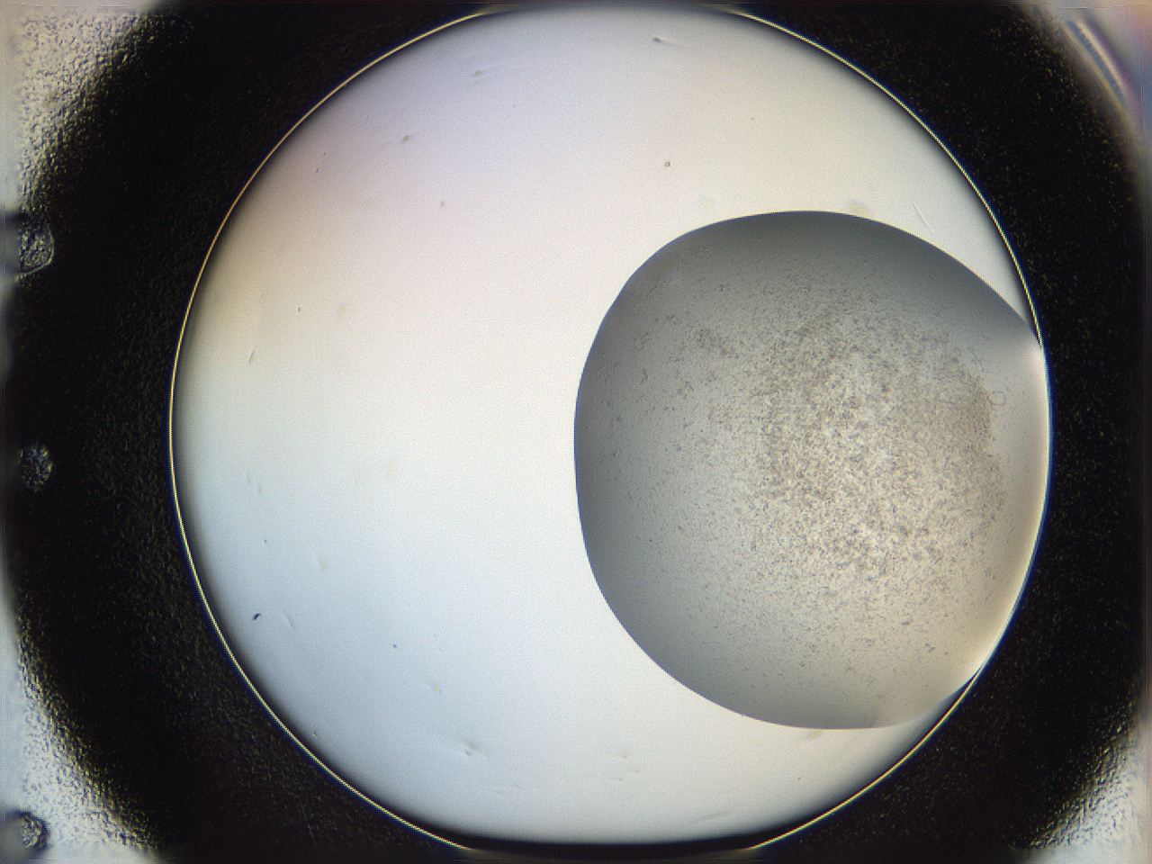 06dm_E7_ImagerDefaults_3.jpg