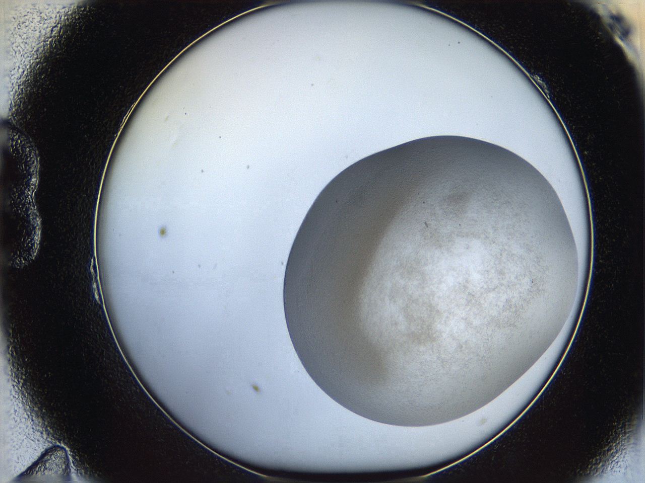 06dm_B11_ImagerDefaults_3.jpg