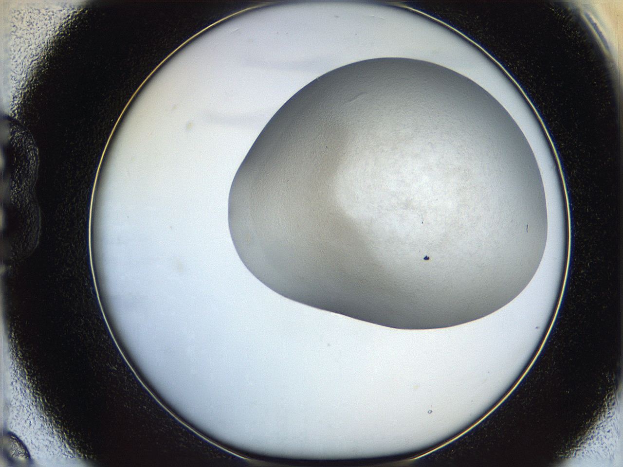 06dm_B9_ImagerDefaults_3.jpg