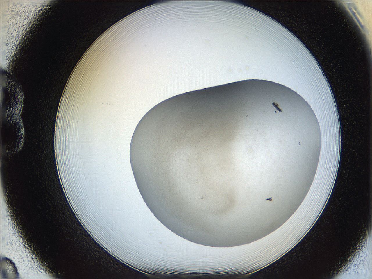 06dm_B8_ImagerDefaults_3.jpg
