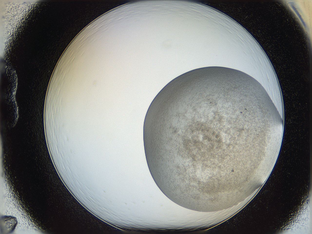 06dm_B7_ImagerDefaults_3.jpg