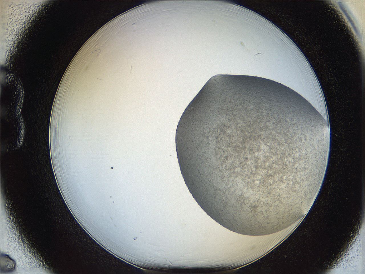 06dm_B6_ImagerDefaults_3.jpg