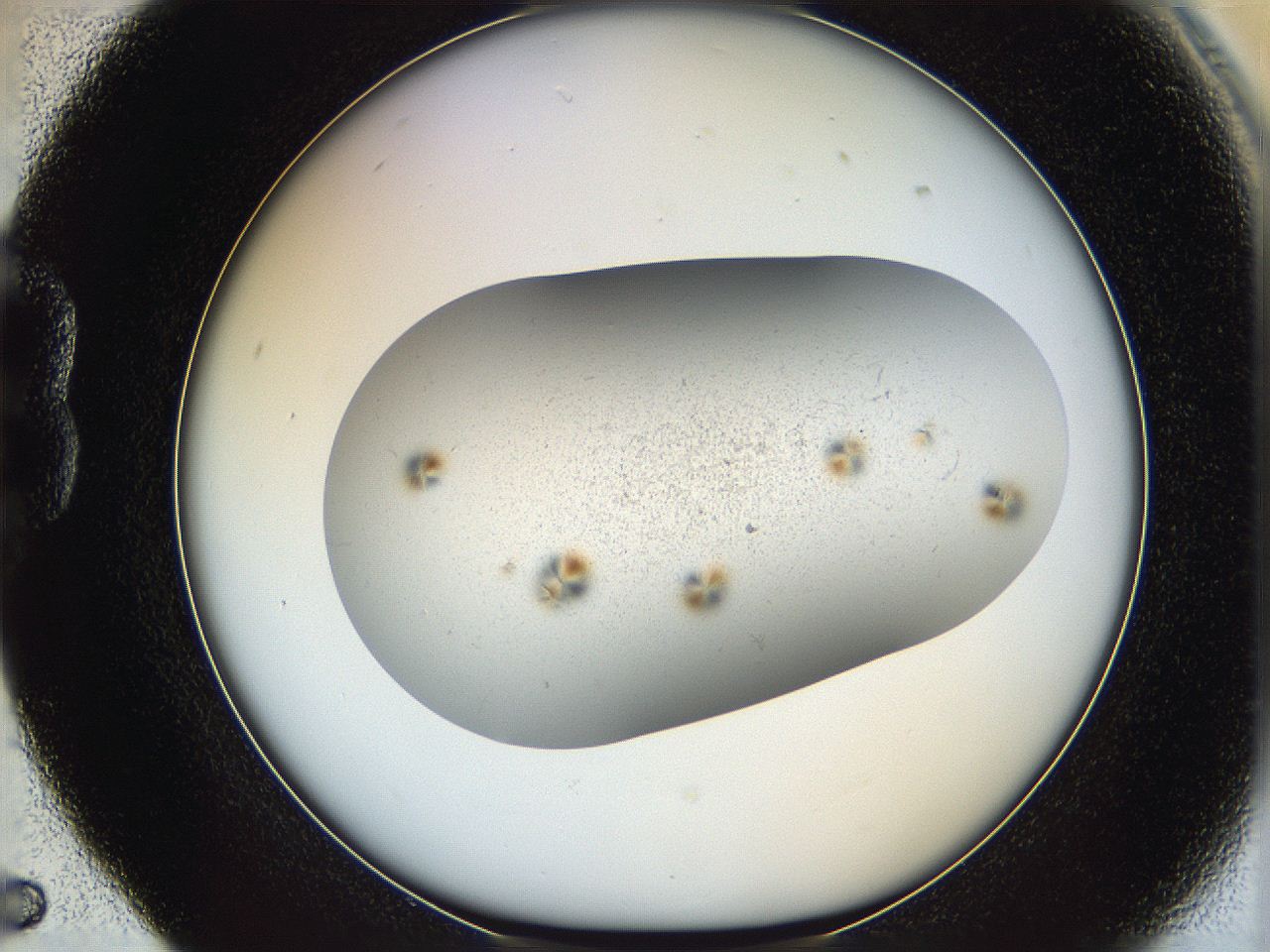 06dm_B5_ImagerDefaults_5.jpg