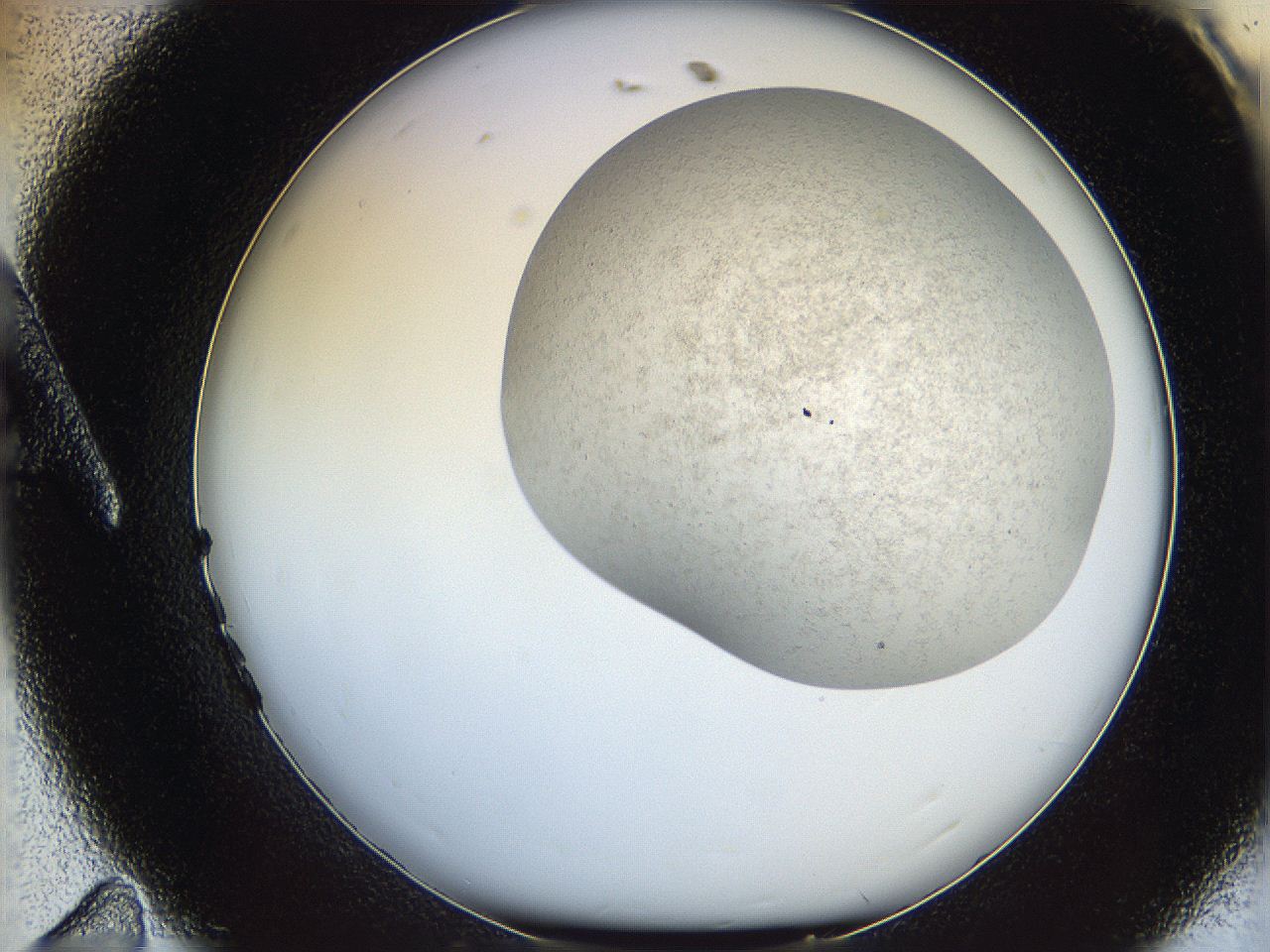06dm_A11_ImagerDefaults_2.jpg