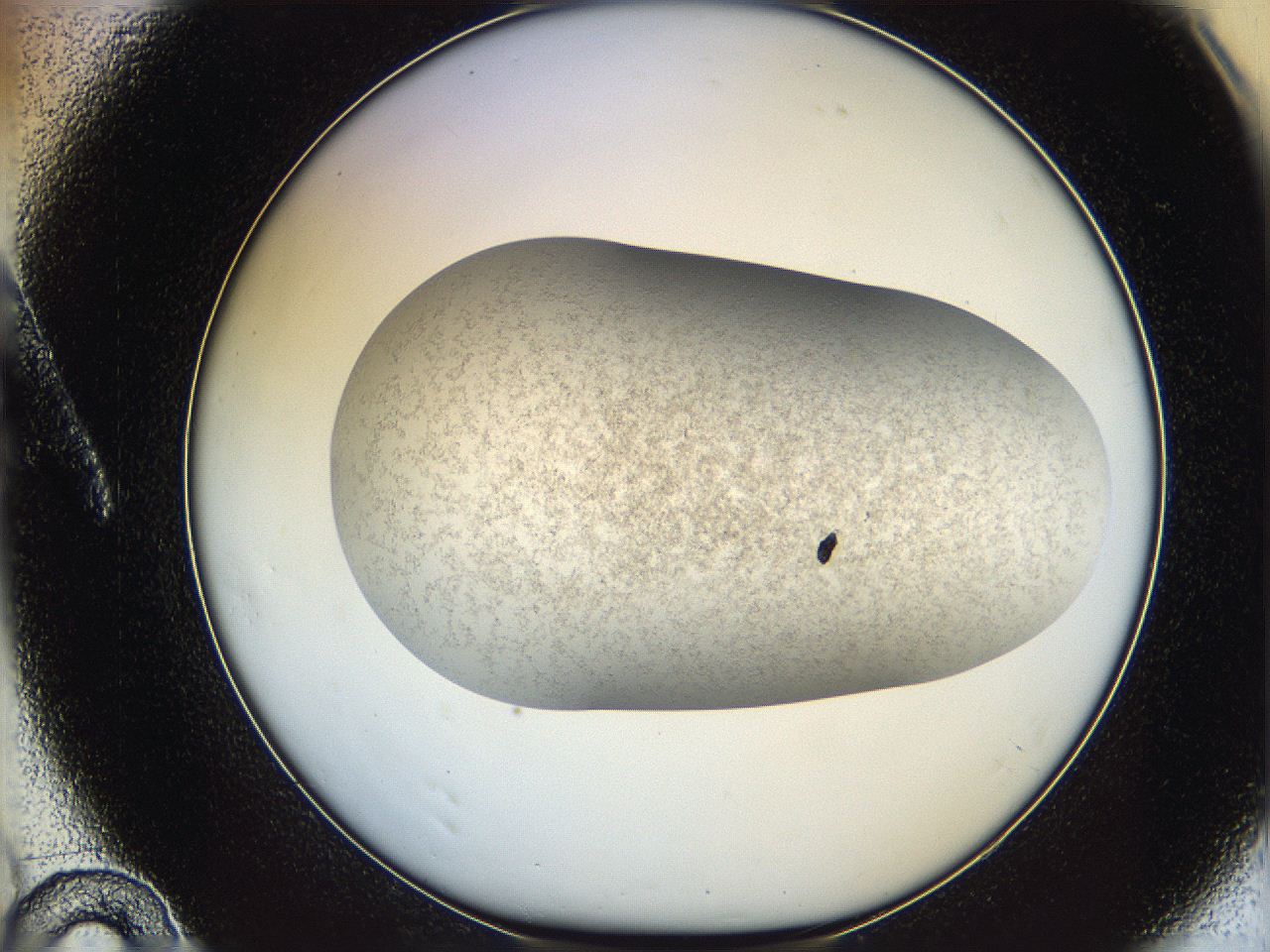 06dm_A10_ImagerDefaults_3.jpg