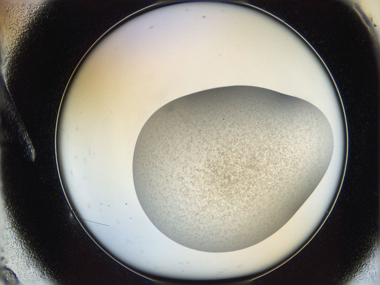 06dm_A9_ImagerDefaults_3.jpg