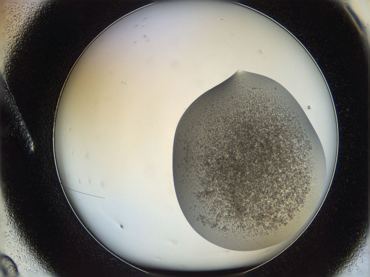 06dm_A8_ImagerDefaults_3.jpg