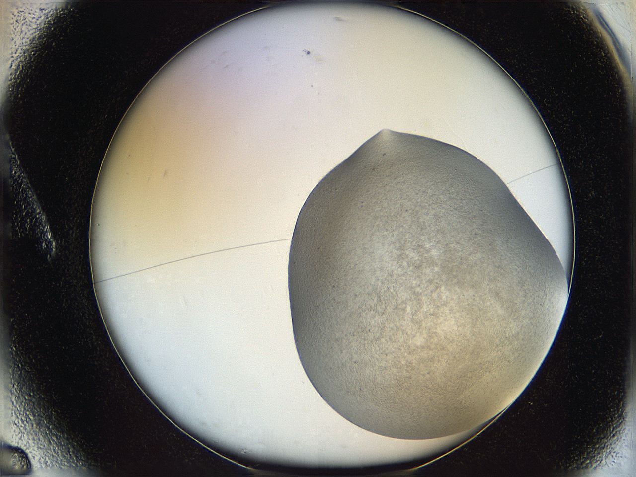 06dm_A6_ImagerDefaults_3.jpg