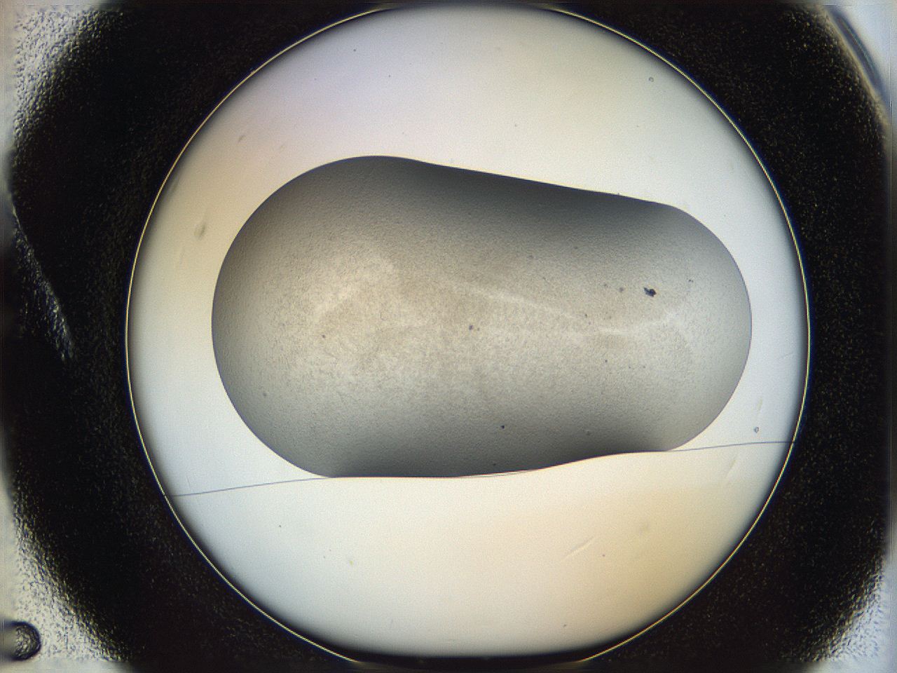06dm_A5_ImagerDefaults_3.jpg