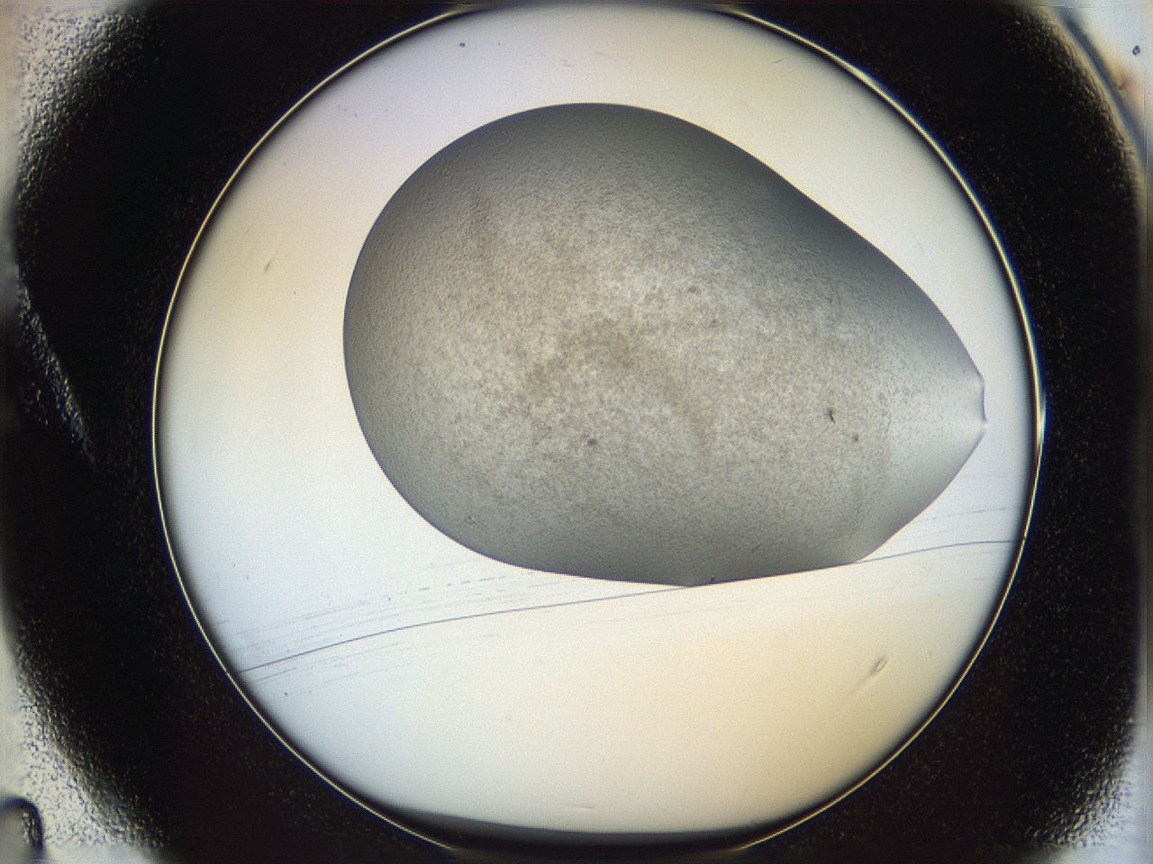 06dm_A4_ImagerDefaults_3.jpg