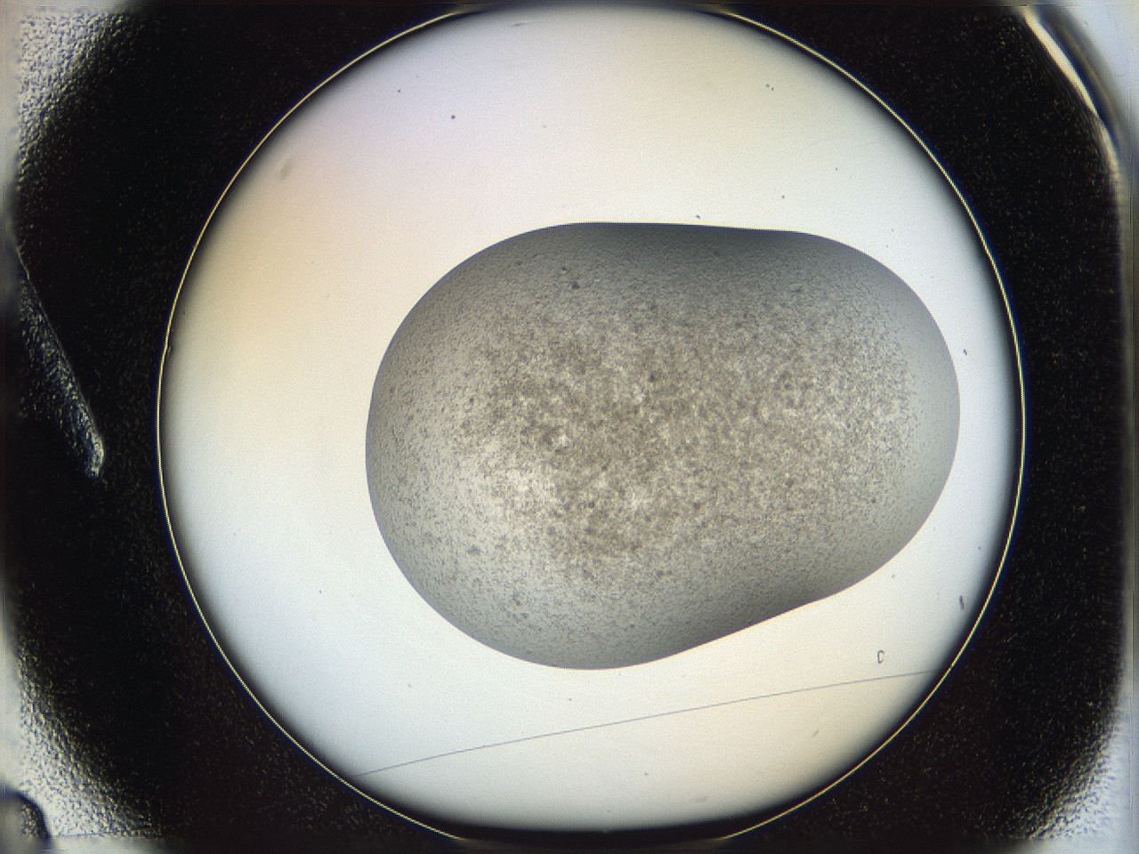 06dm_A3_ImagerDefaults_3.jpg