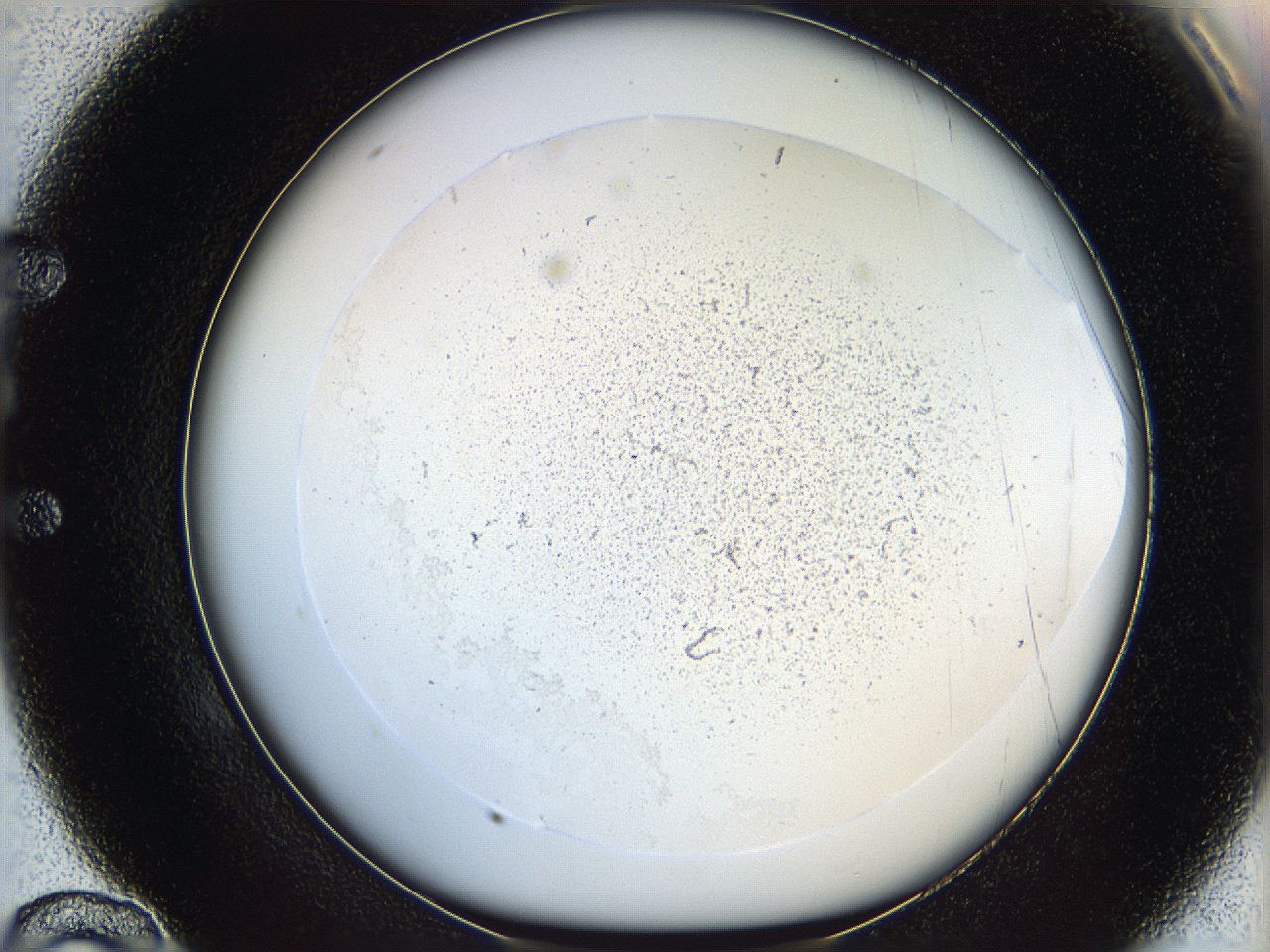 06dm_E10_ImagerDefaults_0.jpg