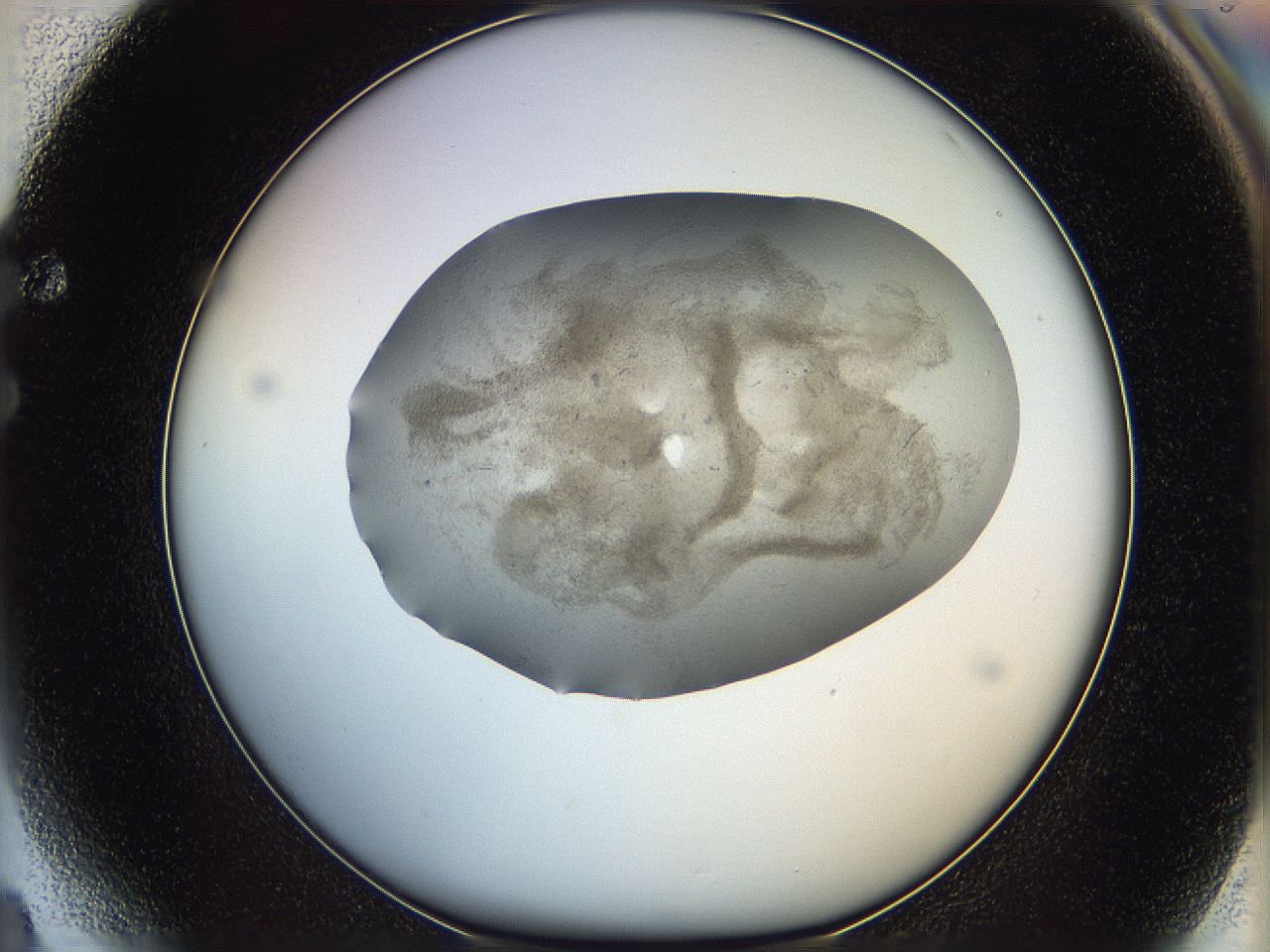 06dm_F4_ImagerDefaults_3.jpg
