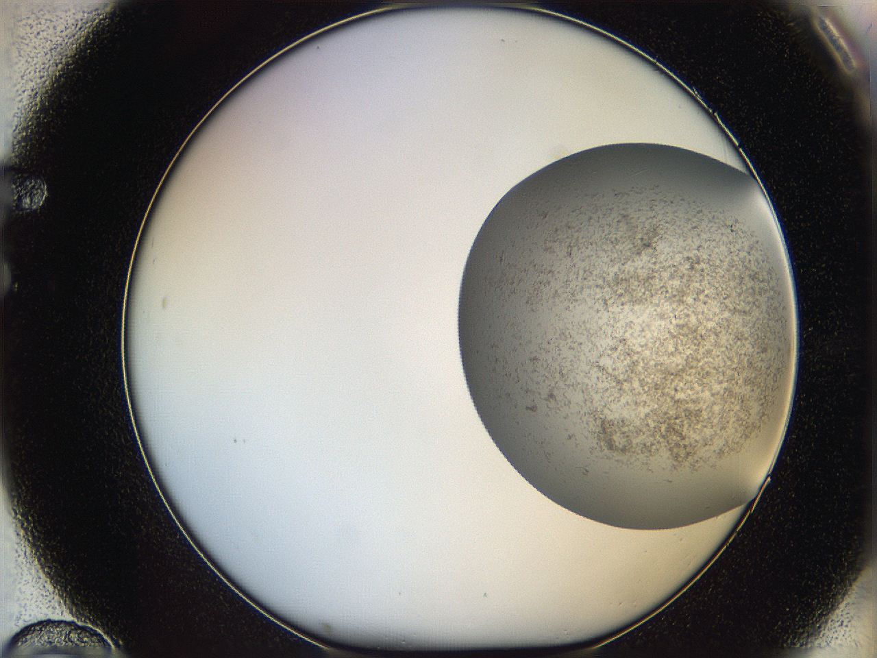 06dm_F10_ImagerDefaults_3.jpg
