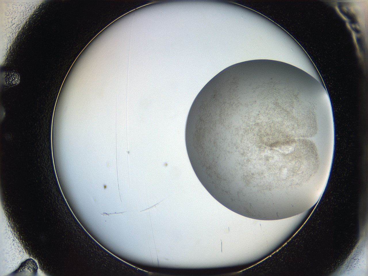 06dm_F11_ImagerDefaults_3.jpg