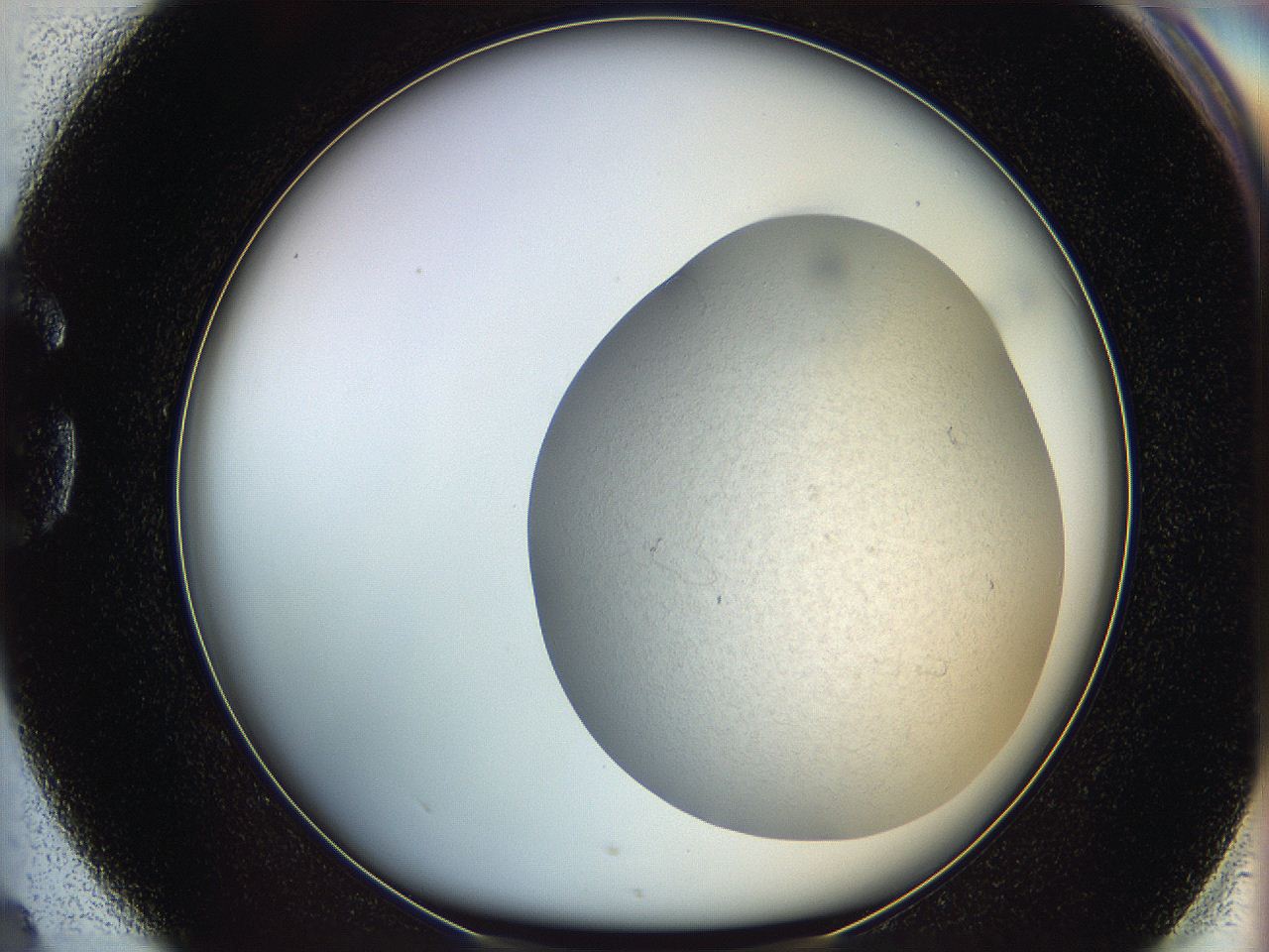 06dm_G4_ImagerDefaults_0.jpg
