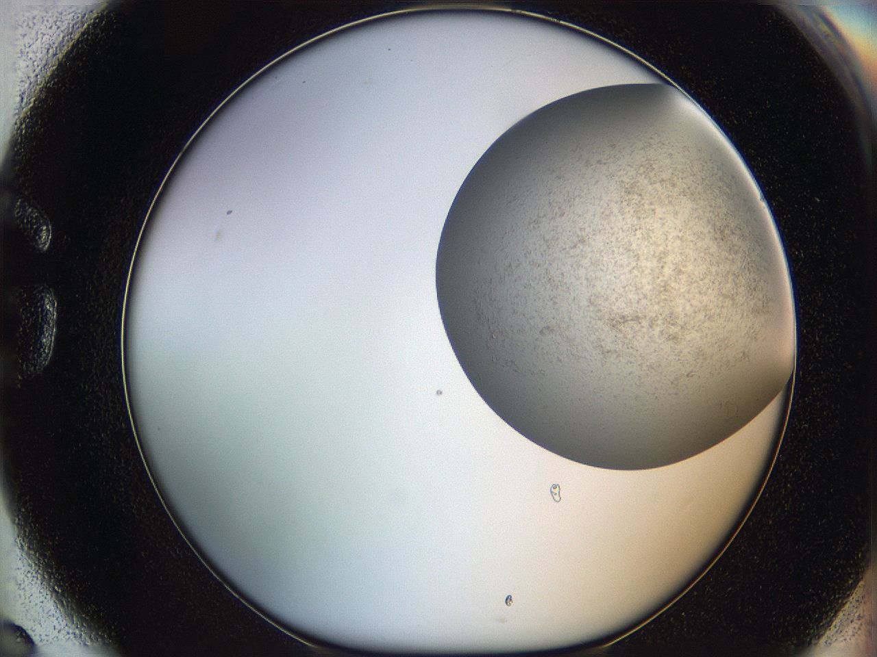 06dm_G6_ImagerDefaults_2.jpg