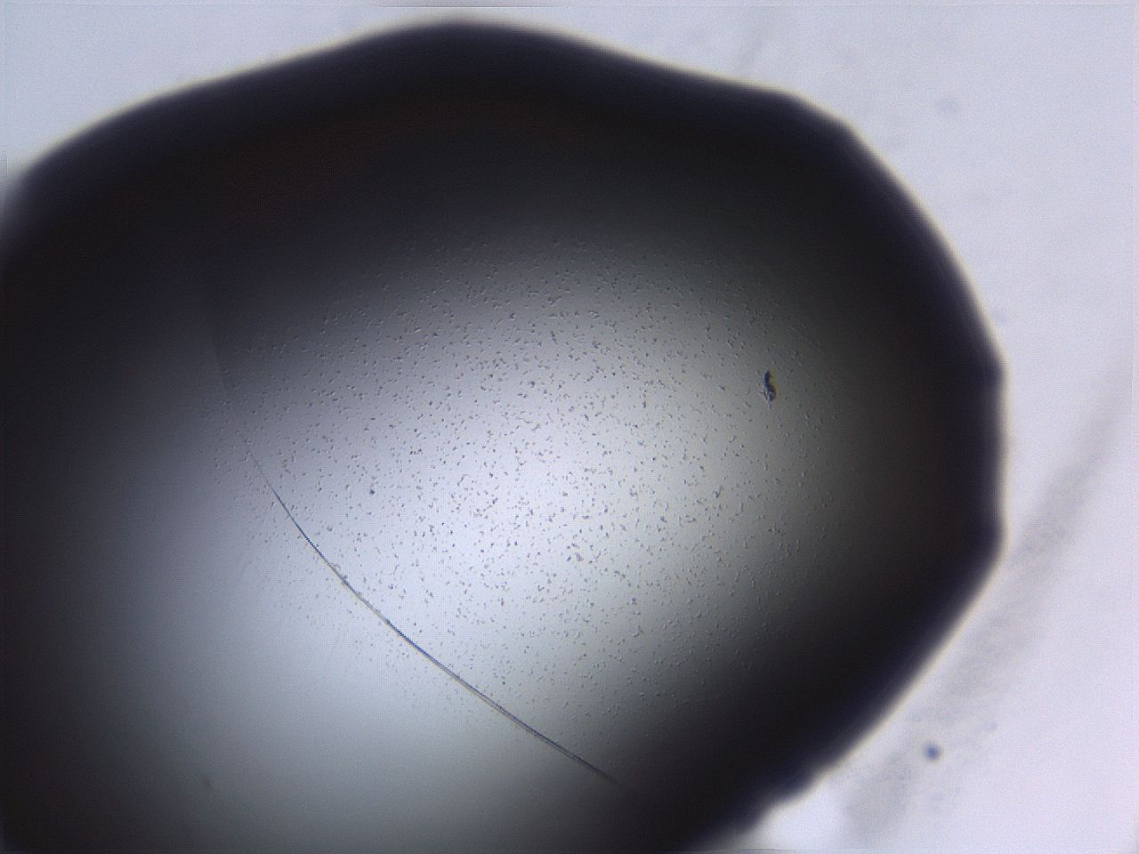 06e9_B4_ImagerDefaults_3.jpg