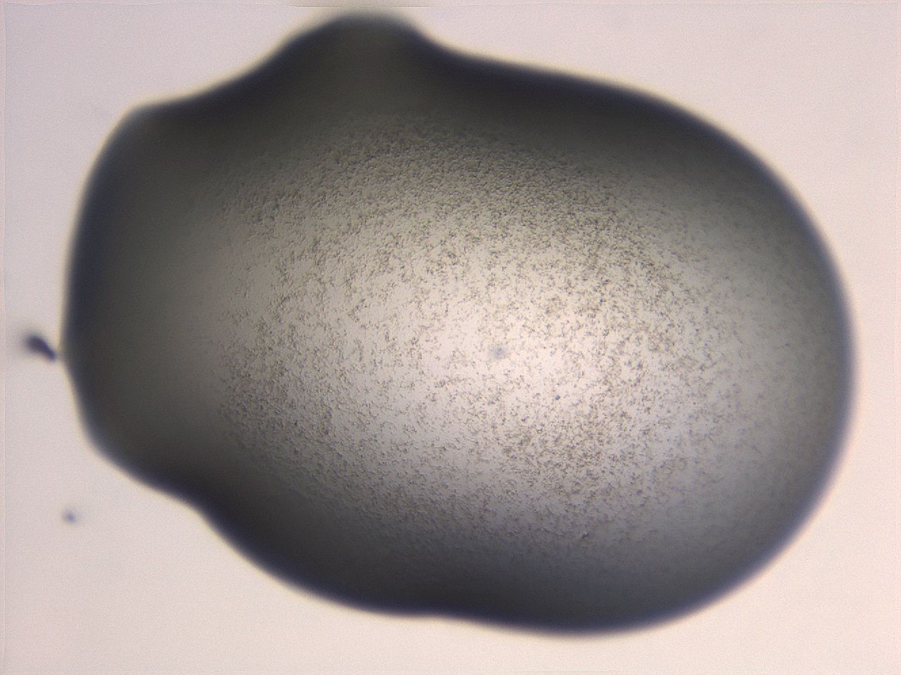 06e9_B6_ImagerDefaults_3.jpg