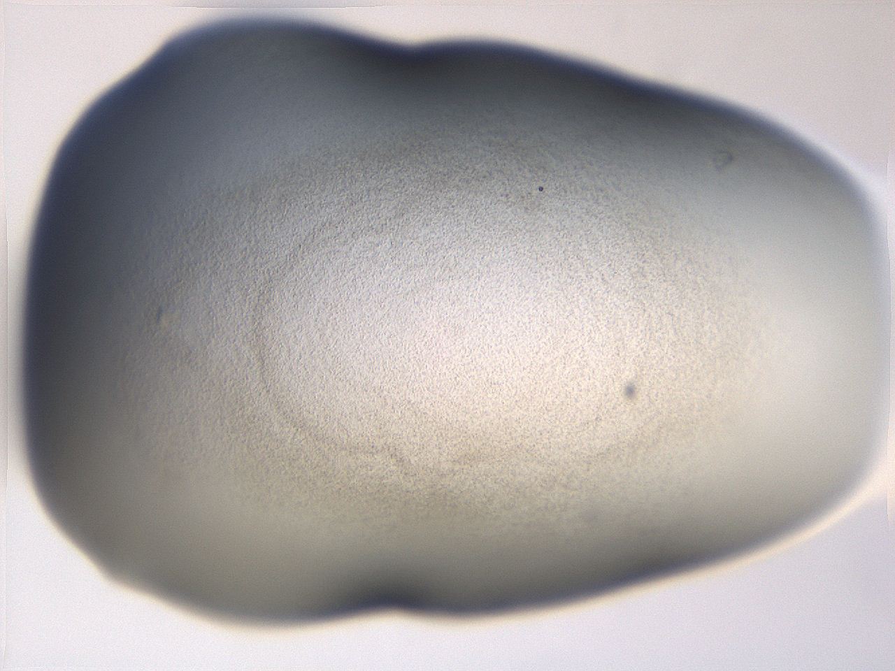 06e9_A1_ImagerDefaults_3.jpg
