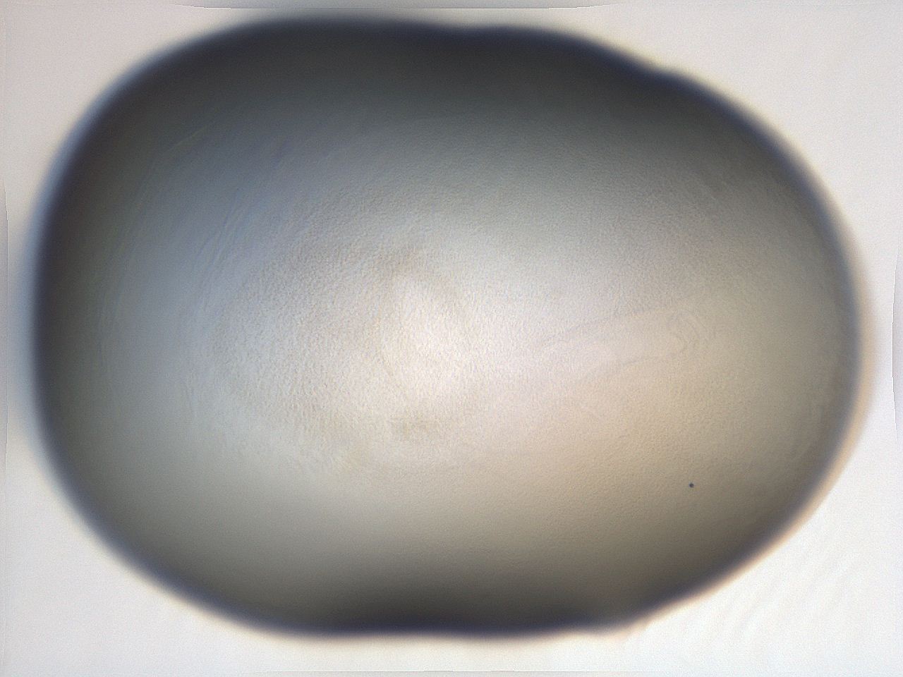 06e9_A2_ImagerDefaults_0.jpg
