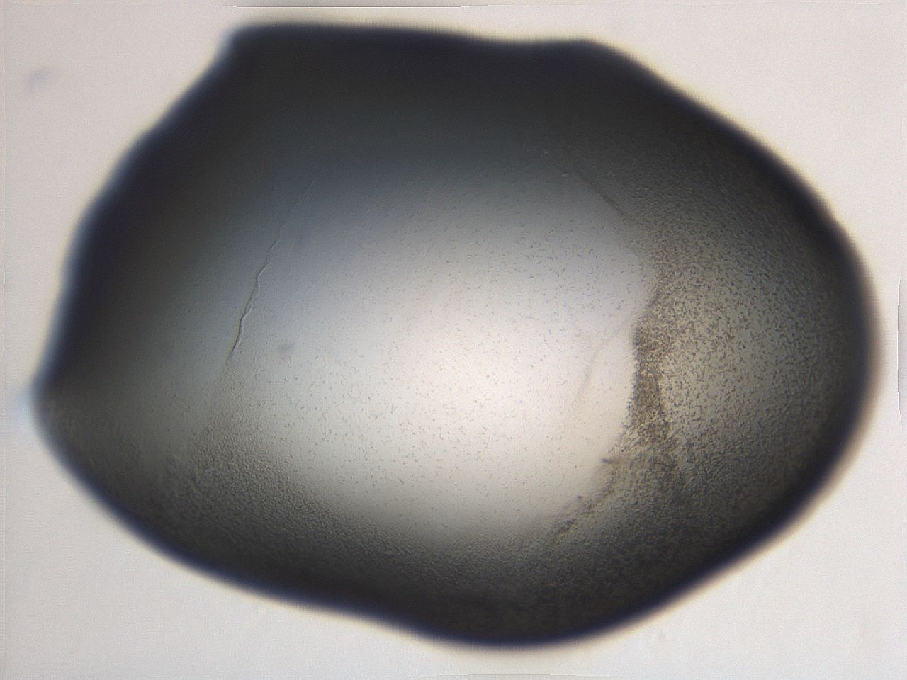 06e9_A6_ImagerDefaults_3.jpg