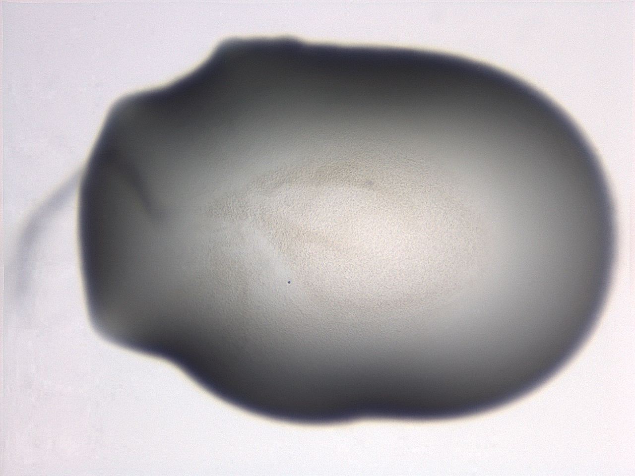 06e9_B7_ImagerDefaults_3.jpg