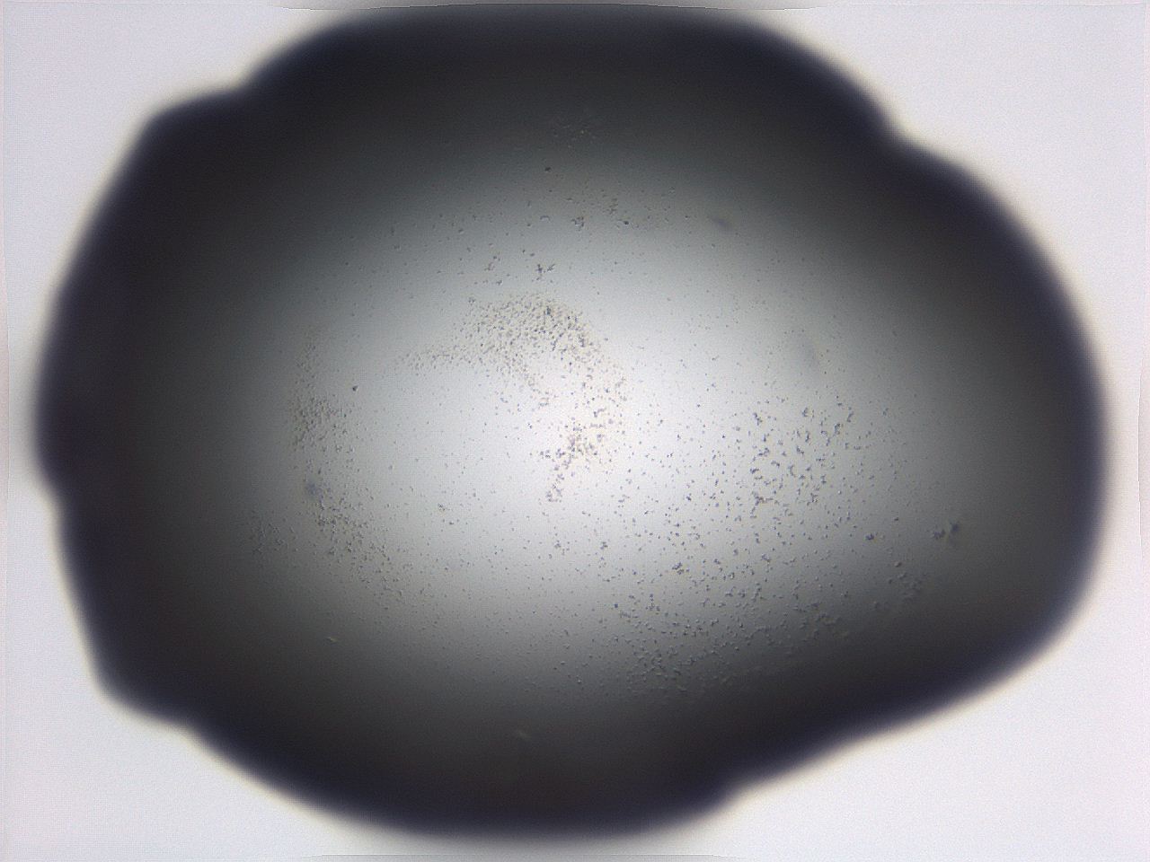 06e9_B11_ImagerDefaults_3.jpg