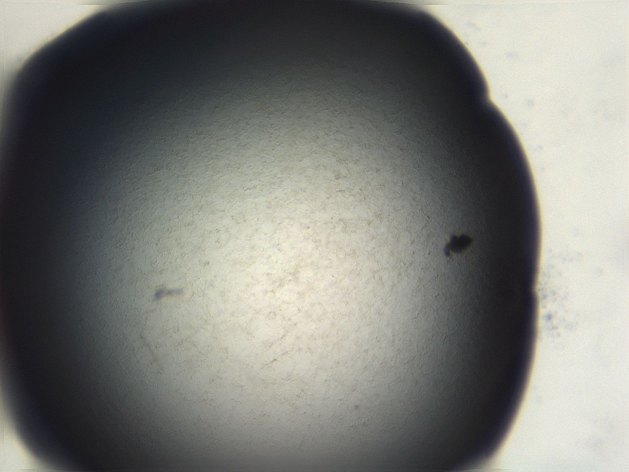 06e9_E2_ImagerDefaults_3.jpg
