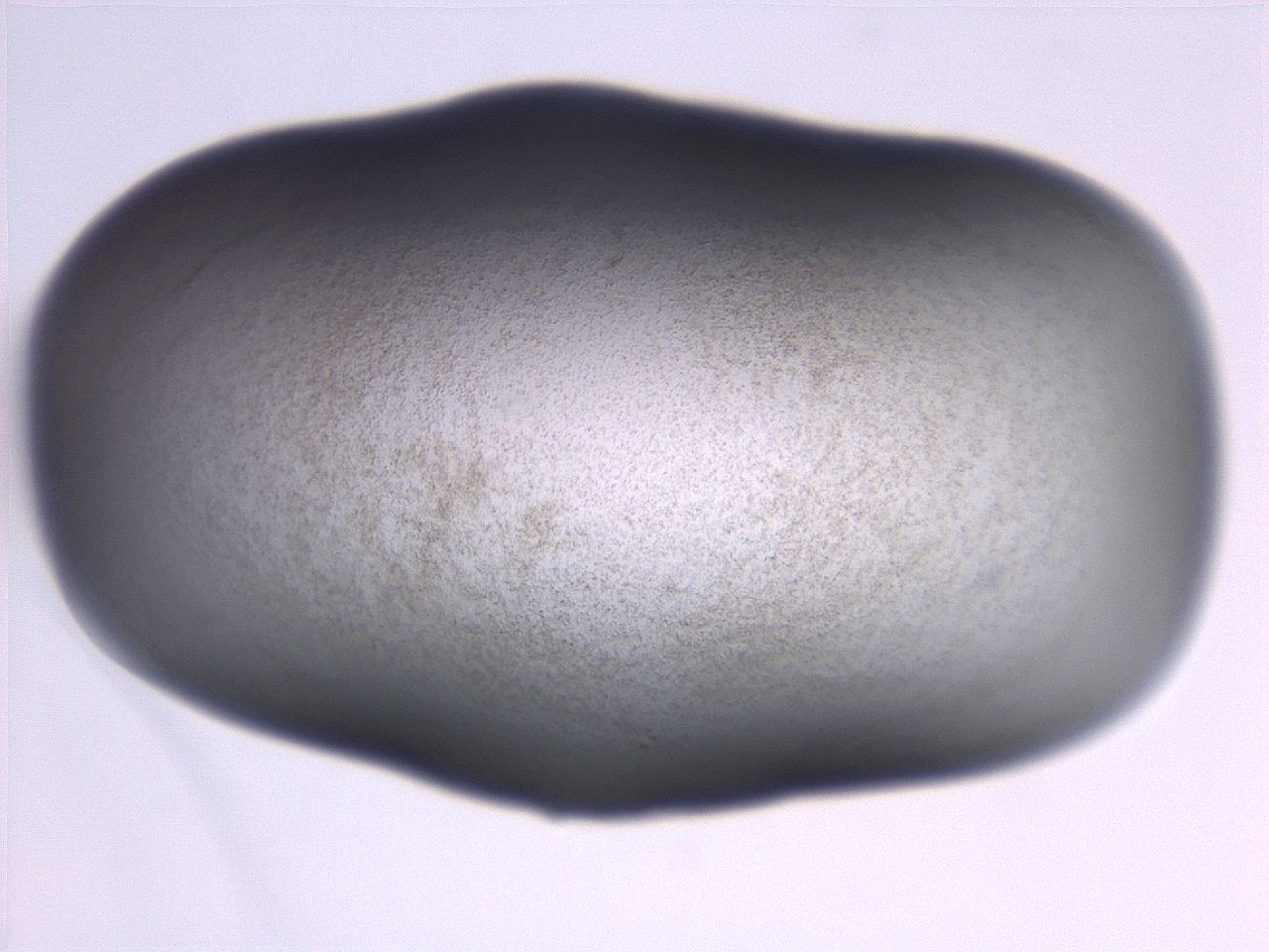06e9_B1_ImagerDefaults_3.jpg