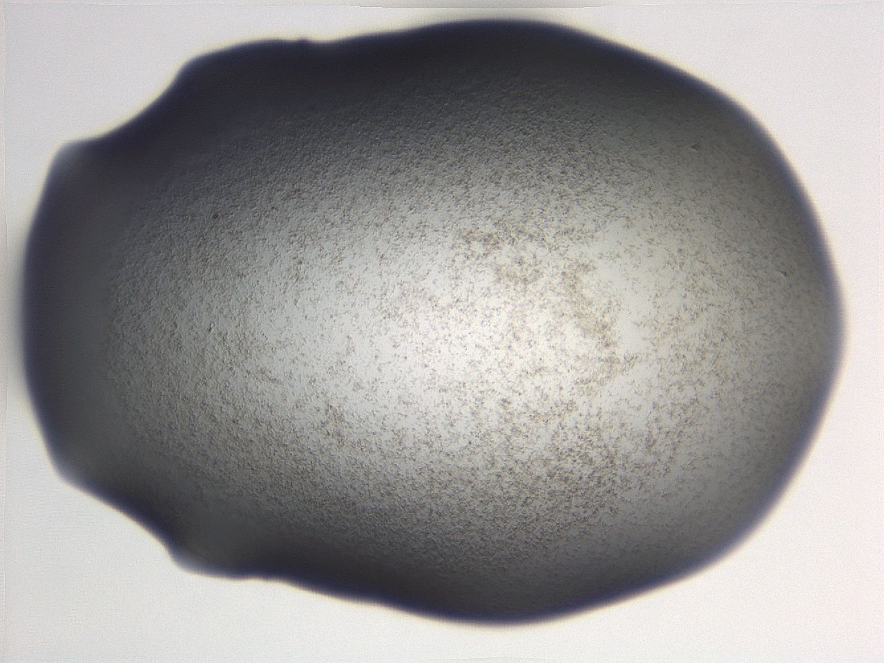 06e9_C4_ImagerDefaults_3.jpg
