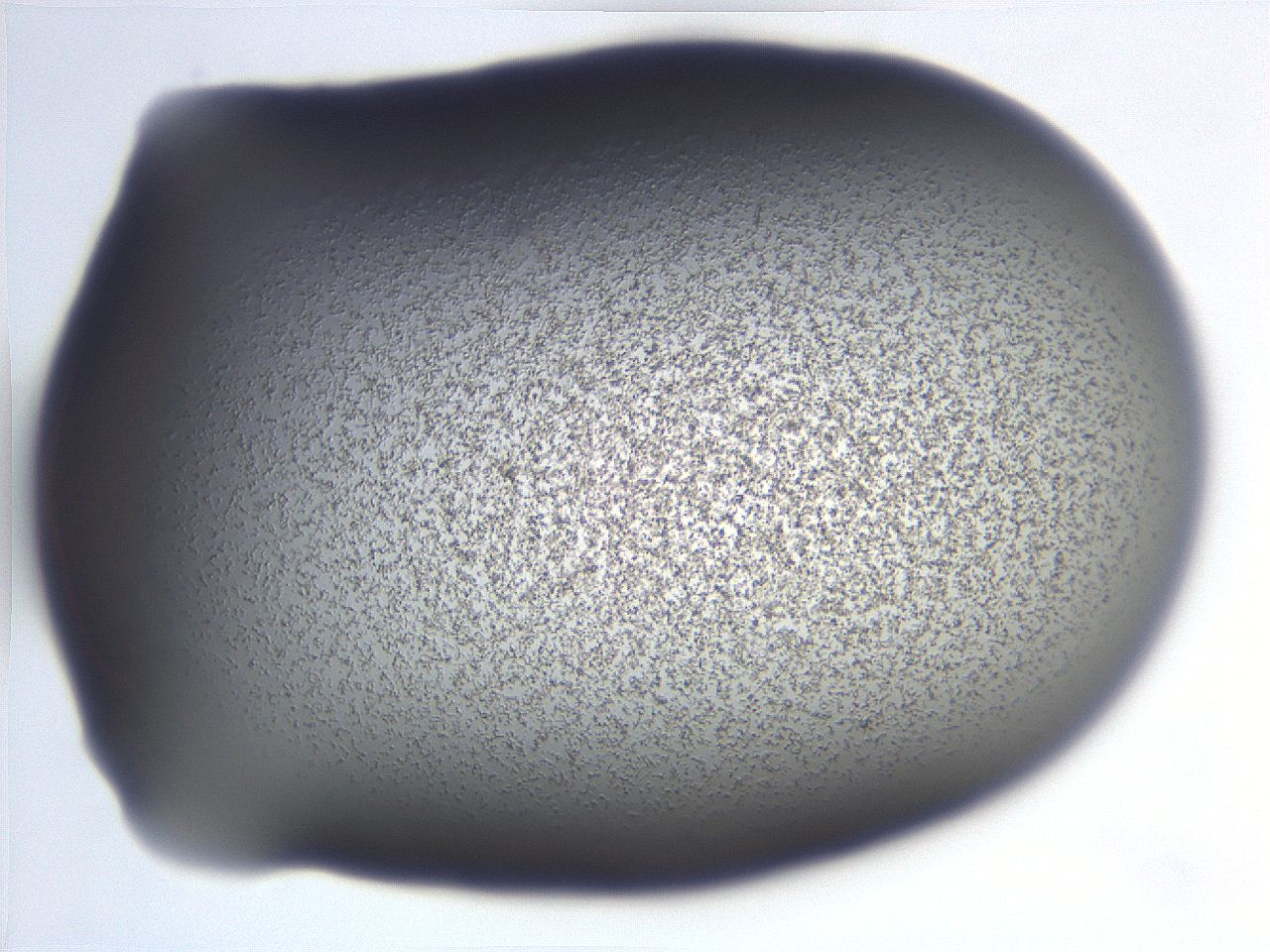 06e9_C5_ImagerDefaults_3.jpg