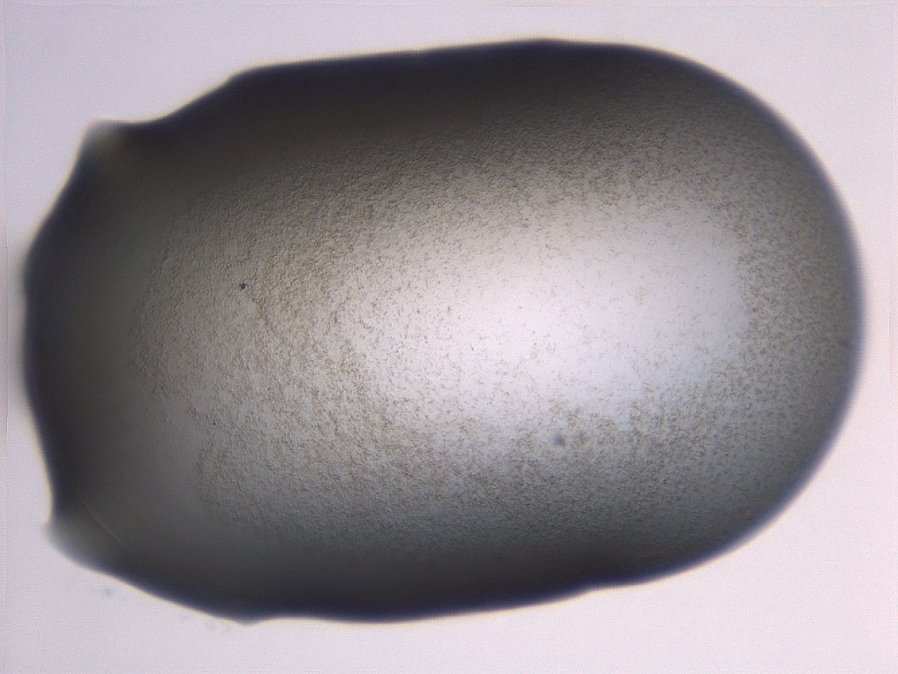 06e9_C6_ImagerDefaults_3.jpg