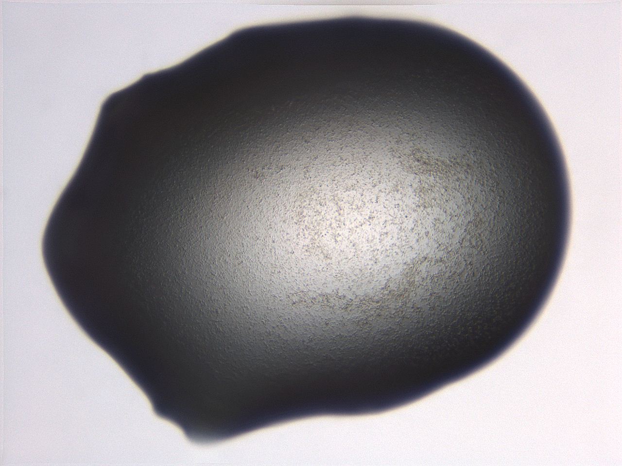 06e9_C7_ImagerDefaults_3.jpg