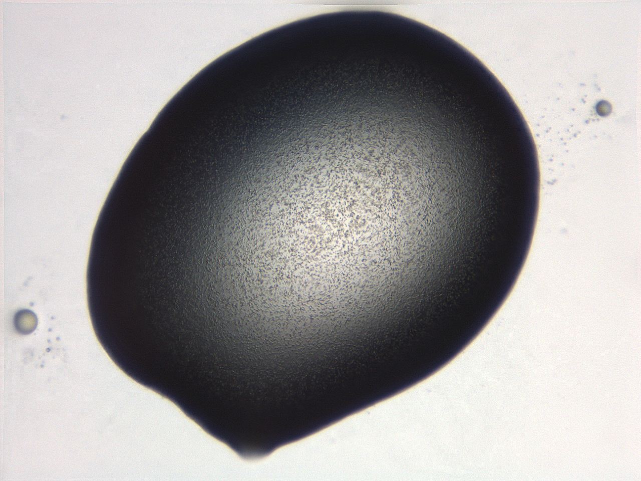 06e9_D5_ImagerDefaults_3.jpg