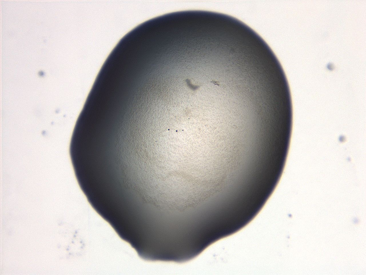 06e9_D9_ImagerDefaults_3.jpg