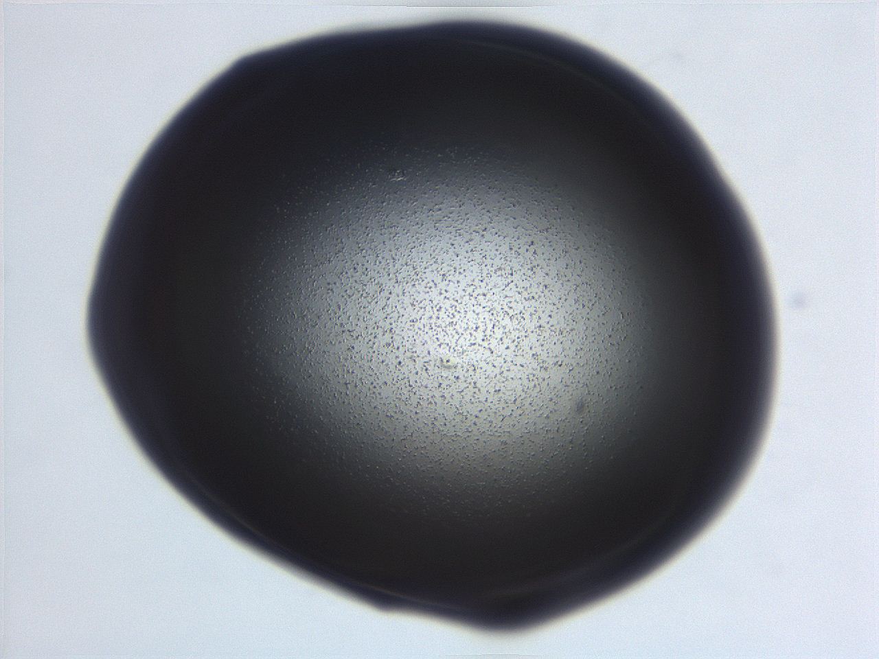 06e9_D10_ImagerDefaults_3.jpg