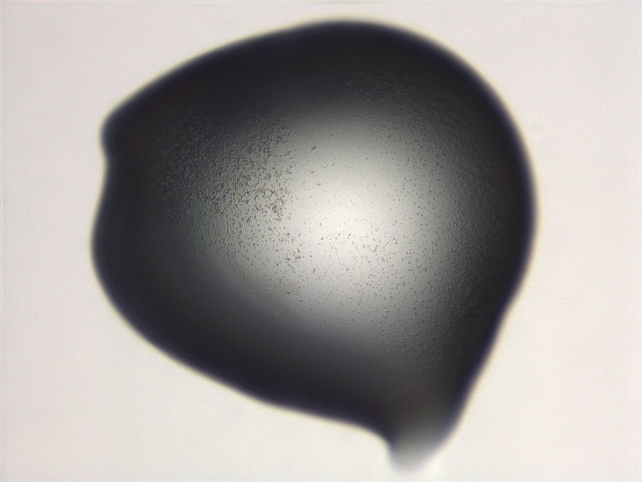 06e9_D11_ImagerDefaults_3.jpg