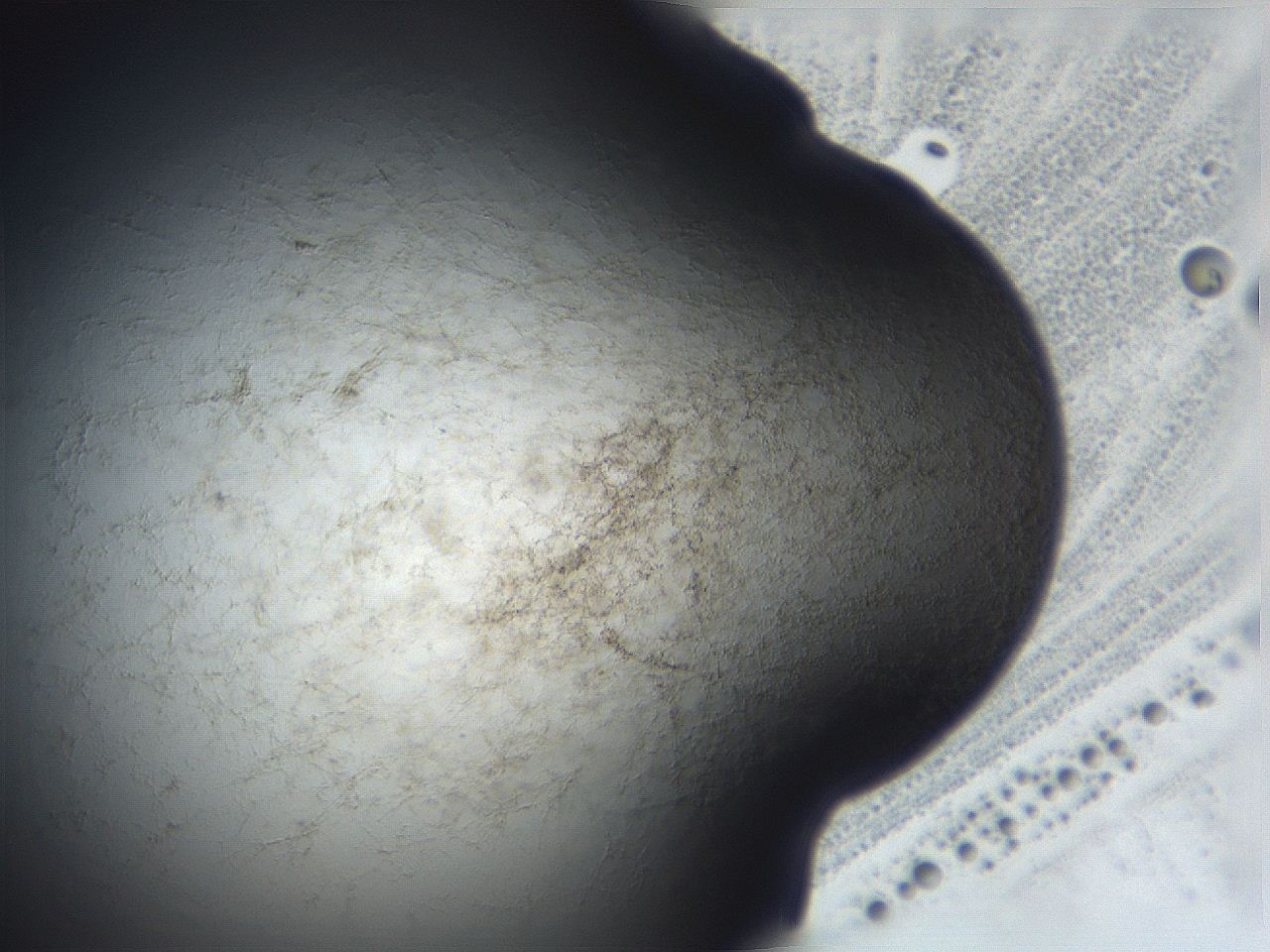 06e9_F6_ImagerDefaults_3.jpg